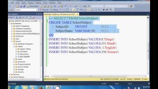 SQL Server DataType 2 TinyInt