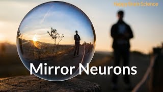 What are Mirror Neurons?