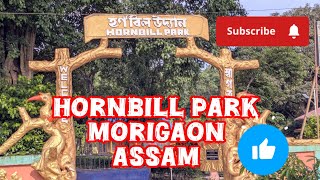 Hornbill Park #hornbillpark #park #hornbill #assam #naturelovers #hornbill #yt #picnic