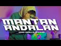 MANTAN ANDALAN - Ando Dizello (DISCO TANAH 2024)