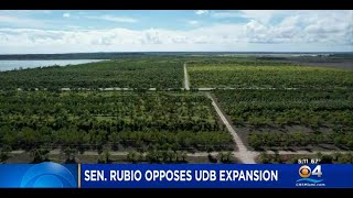 Sen. Marco Rubio Opposes Expansion Of Miami-Dade Urban Development Boundary