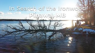 Along the Winnipeg River | Ironwood Trail | Pinawa, Manitoba