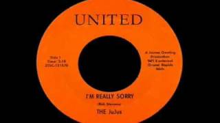 The JuJus - Im Really Sorry