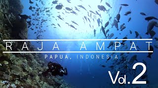 Raja Ampat Diving Vol.2  ラジャアンパット　ダイビング