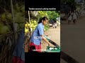 8220361505 tender coconut cutting machine home delivery