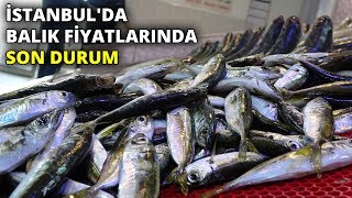 İstanbul'da balık fiyatlarında son durum