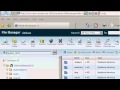 How to use the File Manager in cPanel