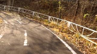 【山さ行がねが】青森県道256号青森十和田湖自転車道線（十和田市区間）【道路レポ】