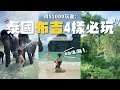 【泰國布吉】布吉4大必玩活動🏝🐠 人均$1000：跳島＋ATV越野車＋叢林飛索＋大象保護區｜Thailand Phuket Vlog｜EP.4