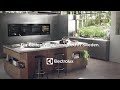 electrolux millennium steamify de 06sec