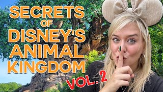 The BEST KEPT SECRETS Of Disney World: Animal Kingdom Part Two