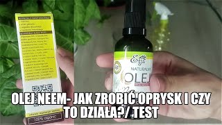 Olej Neem- Jak zrobić ekologiczny oprysk i czy to działa? TEST- zwalczanie mszyc