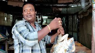 கருவாட்டுக் கடை யாழ்ப்பாணம் (பாரைக் கருவாடு) | Karuvadu kadai Jaffna | Stockfish | Dry Fish Shop