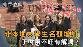 香港大學非本地生增加 值得嗎？教育改革有解嗎？｜新聞 | 時事 | 資訊節目 | 新聞透視｜News Magazine