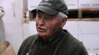 Biodynamic Winemaking