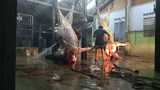 Life As A Butcher | Ramai Yang Gelarkan Kami \