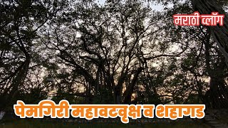 पेमगिरी महावटवृक्ष व शहागड..🚩| Marathi Vlog