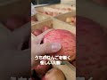 青森県弘前市ちとせ村ナカタファーム　instagram　nakatafarm1123