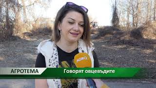 Агротема: Агротема: Говорят овцевъдите, автор: Анета Божидарова