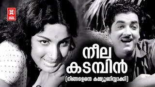 Neelakadambin Poovo | Ningalenne Communistaakki | Vayalar | G Devarajan | KJ Yesudas | Prem Nazir