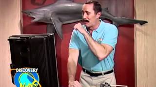 Madtv S12E16   Shark Cam