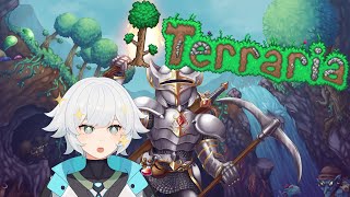 🔴『Terraria』A new master mode run, mage edition