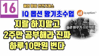 내가 집에서 10만원 버는법!!!feat.IQ옵션|바이너리옵션|아이큐옵션|부업|재택 프로투잡러