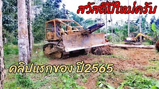 คลิปแรกของ​ ปี​ 2565 พามารับชม​ แทรกเตอร์​ D50A​ ล้มไม้ยางพารา​