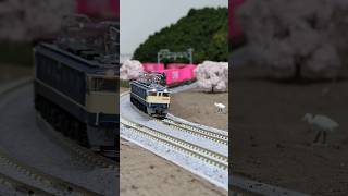 #4072レ 2025年2月9日の積載をアレンジ ▼N-scale model, EF65 \u0026 Sea Container freight cars. #shorts