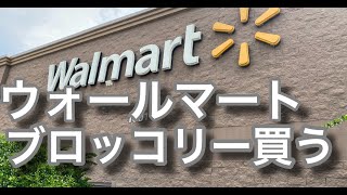 アメリカウォールマートでセルフチェックアウト簡単英会話【完全攻略法】