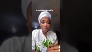 Aseje asiri bibo owo nla - Concoction to acquire riches