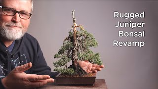 Bonsaify | Repotting Eric's FAVORITE BONSAI Mountain Style Juniper!