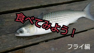 【魚料理】フライ(ボラ)