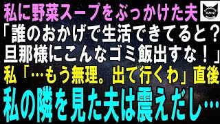 【スカッとする話】帰宅した瞬間、夫が野菜スープを投げつけて来た。夫「一家の大黒柱にこんなゴミ飯出すな！今すぐ作り直せ！」私「…もう無理。出て行くわね」直後、私の隣を見た夫は冷や汗を流し…【修羅場