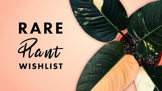 My Rare Houseplant Wishlist for 2022!