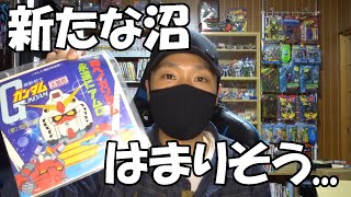 新たな沼にはまりそう...Amazonで一体型レコードプレーヤーを買ってみた！