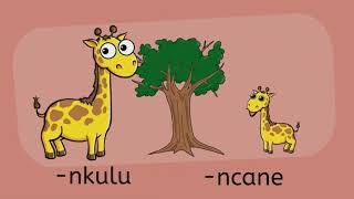 isiZulu Adjectives (2) 29.2