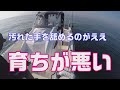 startマシモフ鱗付けリベンジ！のっこみタイラバ