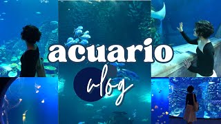 VLOG: visitando un acuario⋆⭒𓆟⋆｡˚𖦹𓆜✩⋆