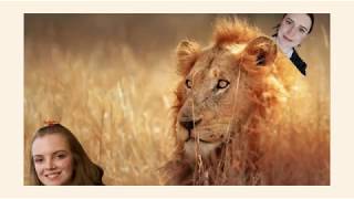 Discovery Channel Intern Application 2017 / Hannah and Olivia