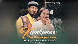 Wondimagegn Chane - Kumkumee / Cover ወንድማገኝ ጫኔ - ኩምኩሜ New Ethiopian Music 2023 Cover