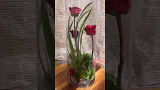 Flower arrangement ideas with roses and geranium in a tall vase 74a