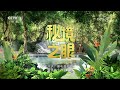 《秘境之眼》 豹猫 20240716 nature talks · 生逢其境