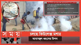 মিল্কভিটা প্যাকেটের স্তুপ থেকে বিপুল মশা ও লার্ভার অস্তিত্ব | Mosquito Problem | DNCC | Somoy TV