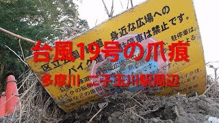 台風19号の爪痕 多摩川  二子玉川駅周辺　Trace of the Tamagawa river  flood by  Typhoon Hagibis