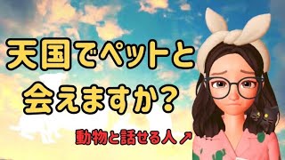 【動物と話せる人】天国でペットと会える理由。