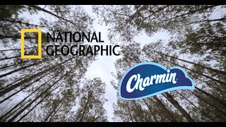 Sustainable Forestry | Charmin® \u0026 National Geographic