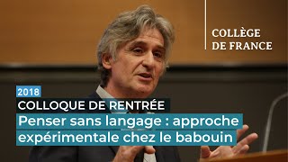 Penser sans langage : approche expérimentale chez le babouin - Joël Fagot