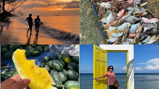 Best places to visit in Kudat #sabah  2023 #beach #sunset #seafood