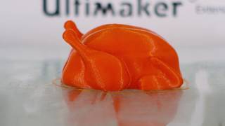 3D Print Time-Lapse of Thanksgiving Turkey